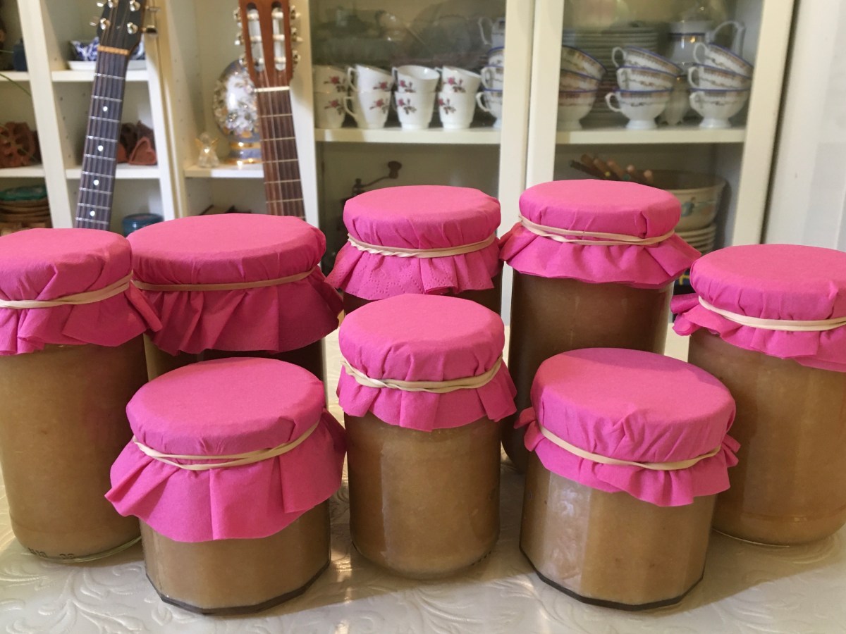 Homemade Apple Sauce